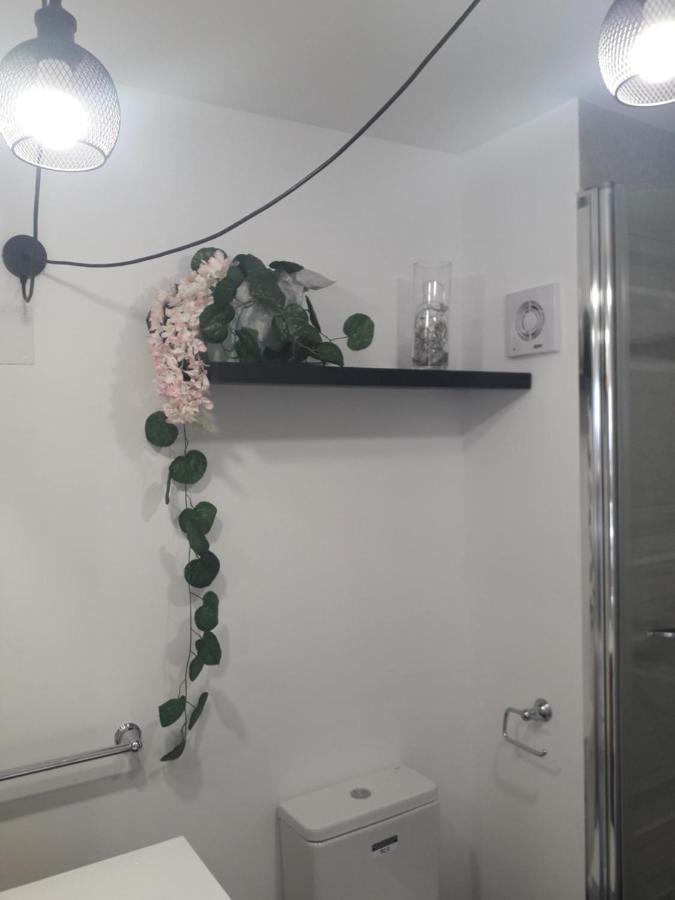 Apartamento Rex Benidorm Exteriör bild