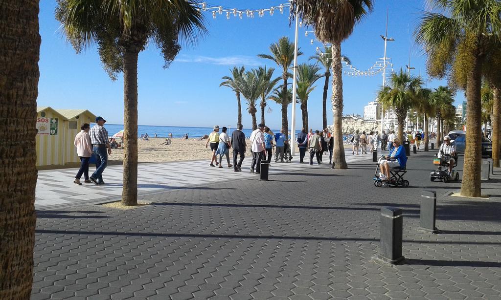 Apartamento Rex Benidorm Exteriör bild